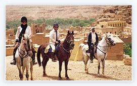 Horse Riding Morocco